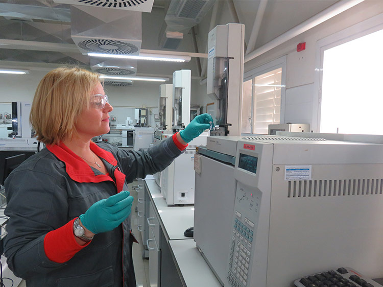 Research in Cepsa