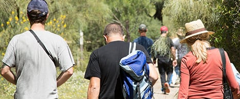 Visitantes-Laguna-Primera-Palos-anillamientos.jpg